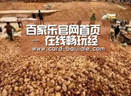 种植基地二