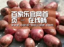 产品展示标题5(图1)